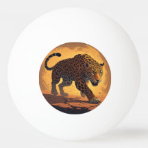 Vild leopard strövar vid solnedgång