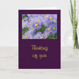 Vild Lila Asters "Thinking of You" Hälsning Kort