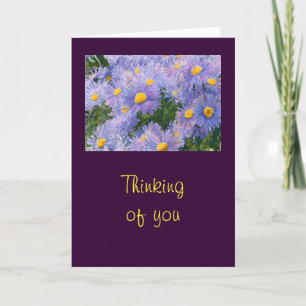 Vild Lila Asters "Thinking of You" Hälsning Kort