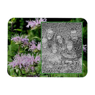 Vild Lila Bee Balm Ram Lägg till ditt foto Magnet