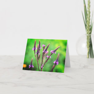 Vild Lila Blankt blankt anteckningskort för blomma