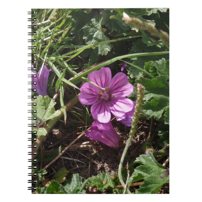 Vild lila geranium anteckningsbok med spiral (Framsidan)