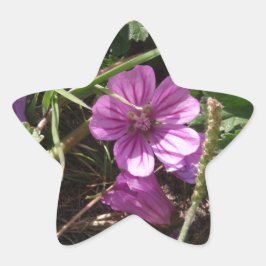 Vild lila geranium stjärnformat klistermärke