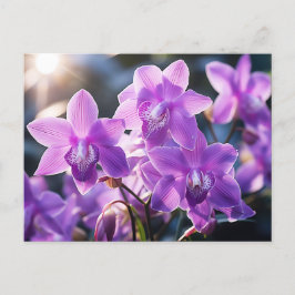 VILD LILA ORCHID FRÅN DOMINICA VYKORT