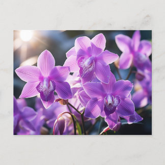 VILD LILA ORCHID FRÅN DOMINICA VYKORT