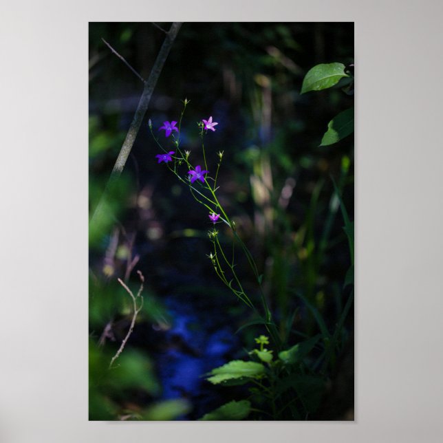 Vild Lila Vatten Forest Flowers Fern Poster (Framsidan)