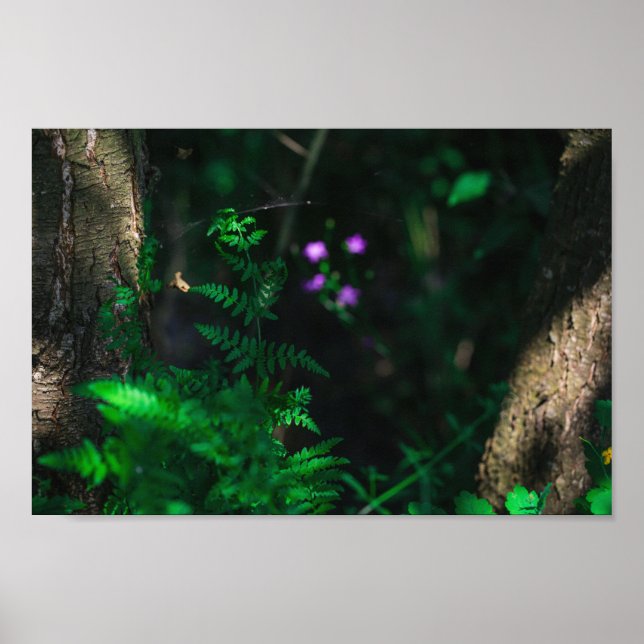 Vild Lila Vatten Forest Flowers Fern Poster (Framsidan)