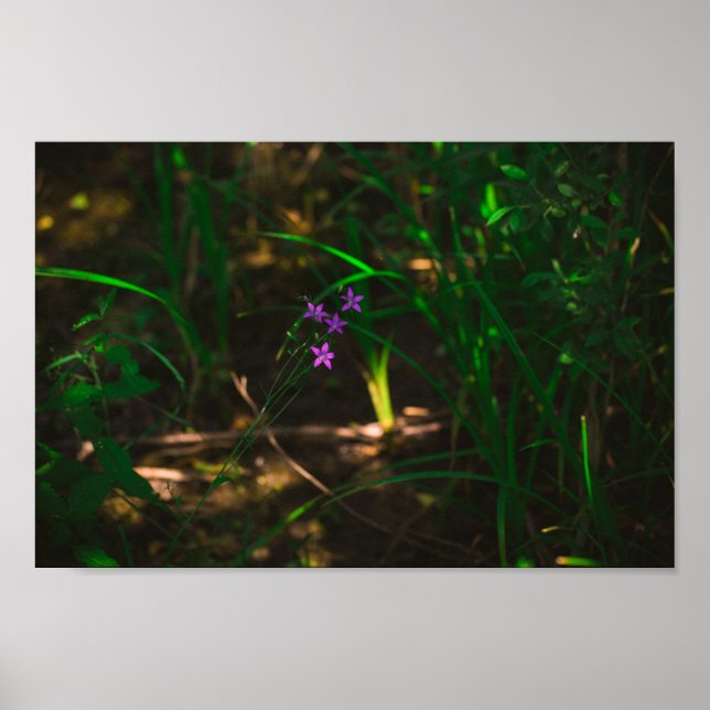 Vild Lila Vatten Forest Flowers Fern Poster (Framsidan)