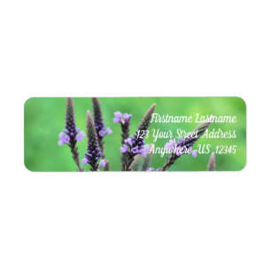 Vild Lila Vervain Flower Adress Returadress Etikett