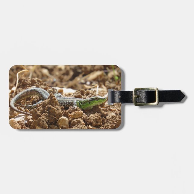 Vild Lizard Nature Photography Rustic Bagagebricka (Horisontell Framsida)