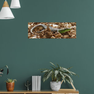 Vild Lizard Nature Photography Rustic Poster