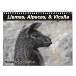 Vild Llamas och Alpacas Kalender