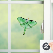 Vild Luna Moth Insekt Kryp Window Cling