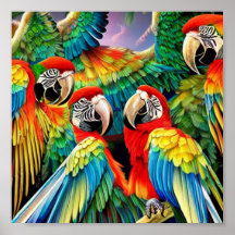 Vild Macaw Birds Poster