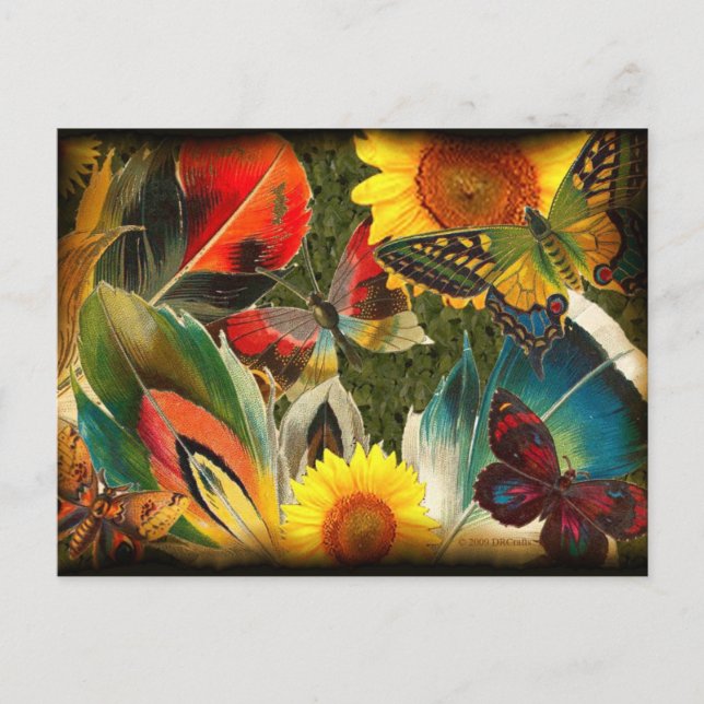 Vild med kant vykort (Framsida)