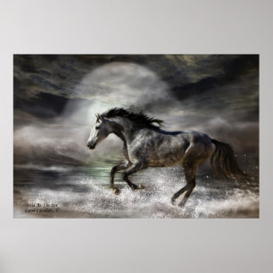Vild medan konsten Poster/skriver ut Poster