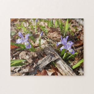 Vild Miniature Irises Pussel