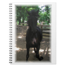 "Vild Mintaka!" Anteckningsbok