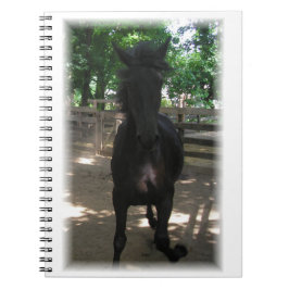 "Vild Mintaka!" Anteckningsbok