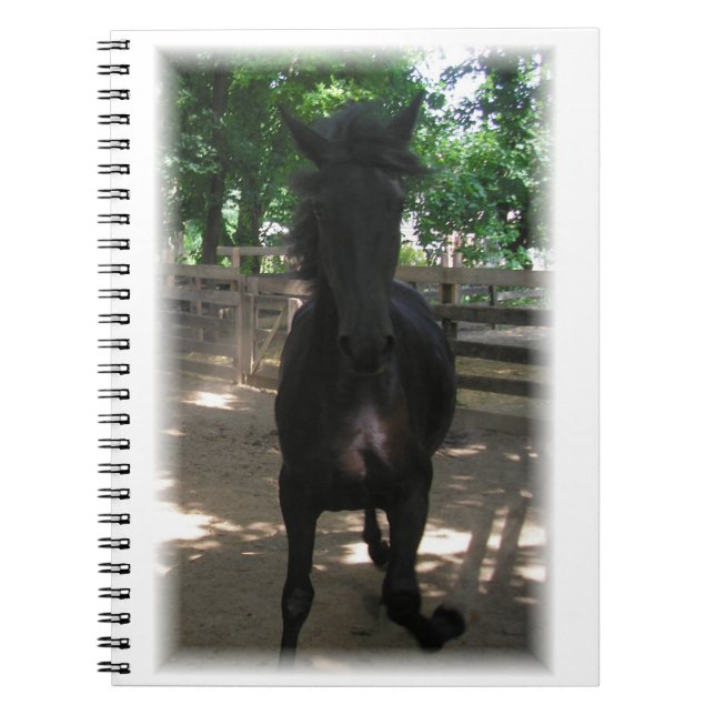 "Vild Mintaka!" Anteckningsbok (Framsidan)