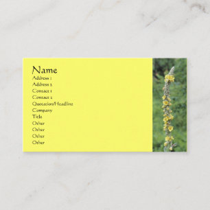 Vild Mullein Blomsterfotografi Affärskort Visitkort
