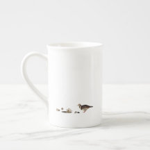 Vild Mushroom -