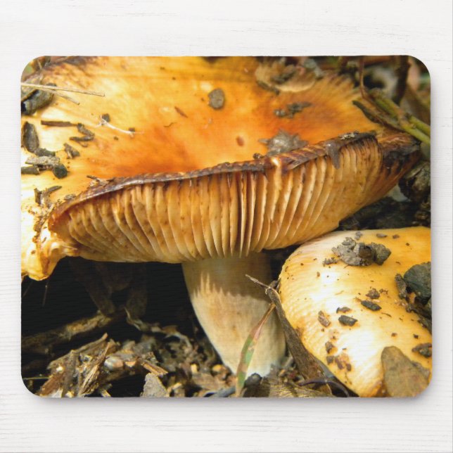 Vild Mushroom Mousepad Musmatta (Framsidan)