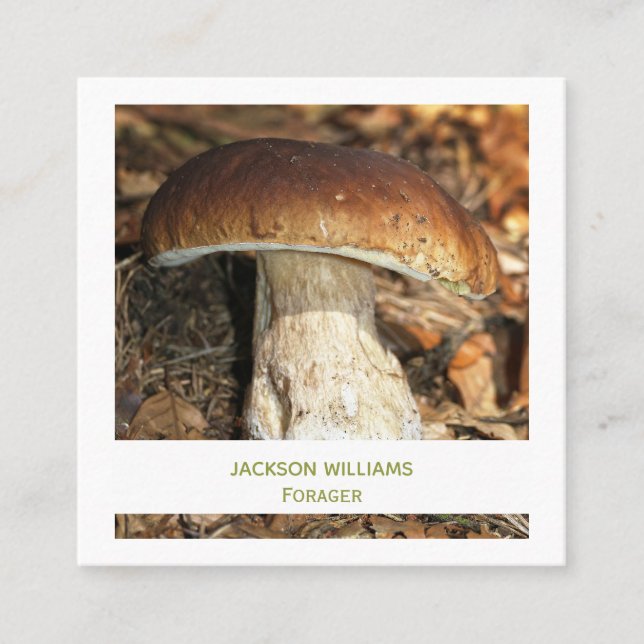 Vild Mushroom Vild Food Forager| Photo Fyrkantigt Visitkort (Framsida)
