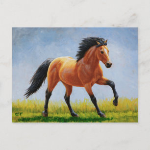 Vild Mustang Buckskin Horse Running Vykort
