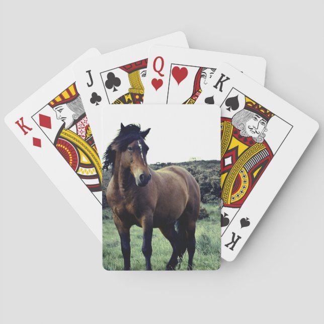 Vild Mustang Deck of Cards Kortlek (Baksidan)