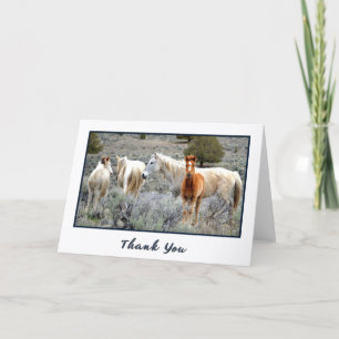 Vild Mustang Herd Photo - tackkort