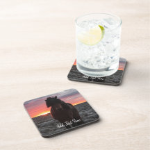 Vild Mustang Horse in Sunset