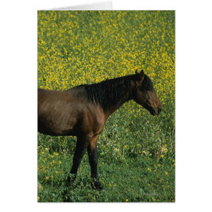 Vild Mustang Horse Permanent in Flowers Hälsningskort