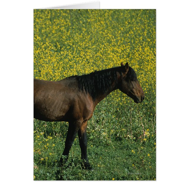 Vild Mustang Horse Permanent in Flowers Hälsningskort (Framsidan)