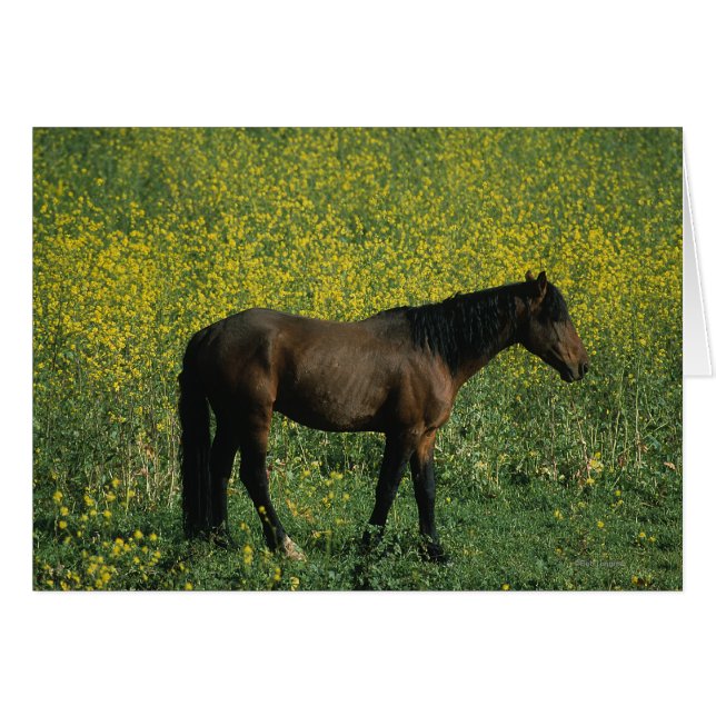 Vild Mustang Horse Permanent in Flowers Hälsningskort (Framsidan Horizontal)