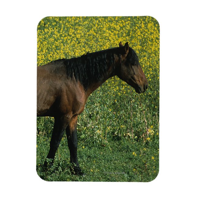 Vild Mustang Horse Permanent in Flowers Magnet (Vertikal)