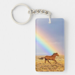 Vild Mustang Horse Running och Rainbow