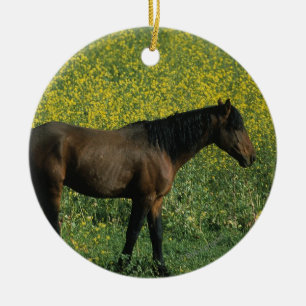 Vild Mustang Horse Stående i blommor Julgransprydnad Keramik