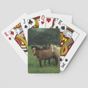 Vild Mustang Horses 4 Spel Kort