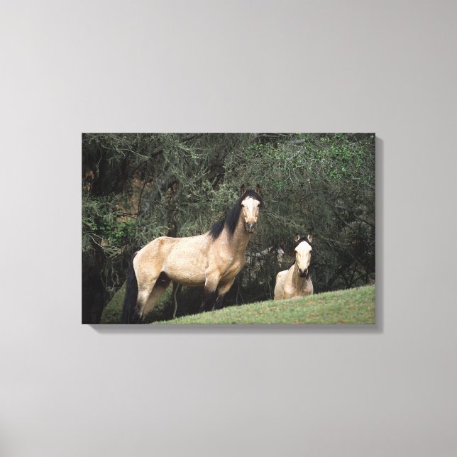 Vild Mustang Horses 6 Canvastryck (Framsida)