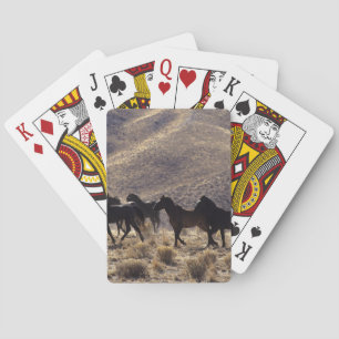 Vild Mustang Horses in Desert 1 Casinokort