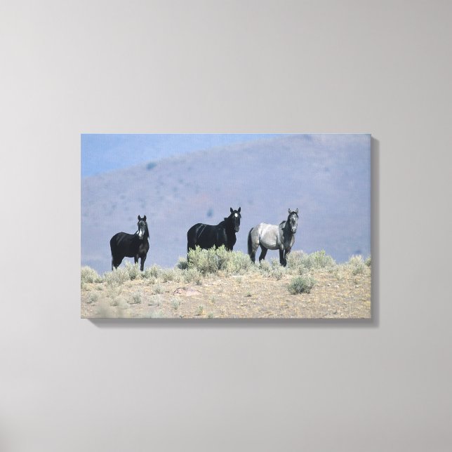 Vild Mustang Horses in Desert 3 Canvastryck (Framsida)
