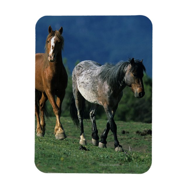 Vild Mustang Horses Magnet (Vertikal)