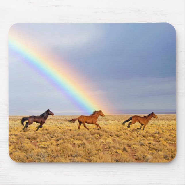 Vild Mustang Horses Running and Rainbow Musmatta (Framsidan)