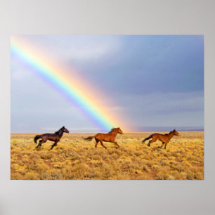 Vild Mustang Horses Running and Rainbow Poster