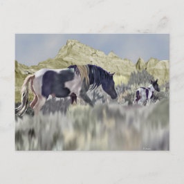 Vild Mustang Mare and Foal Vykort