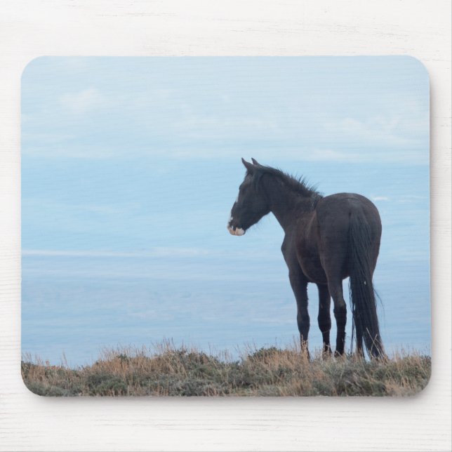 Vild Mustang Musmatta (Framsidan)