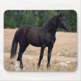 Vild Mustang Musmatta