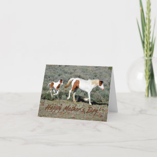 Vild Mustang Photo Mors dag Card Tack Kort