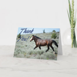 Vild Mustang Photo - tackkort